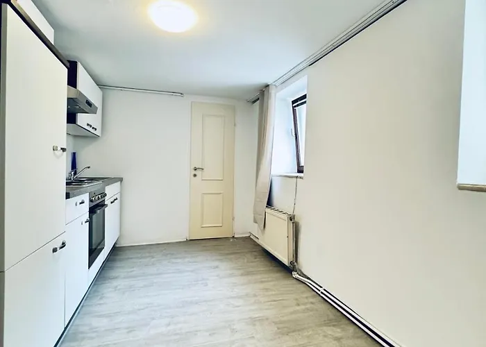 Very Spacious For Up To 7p With Great Location Apartment Vienna